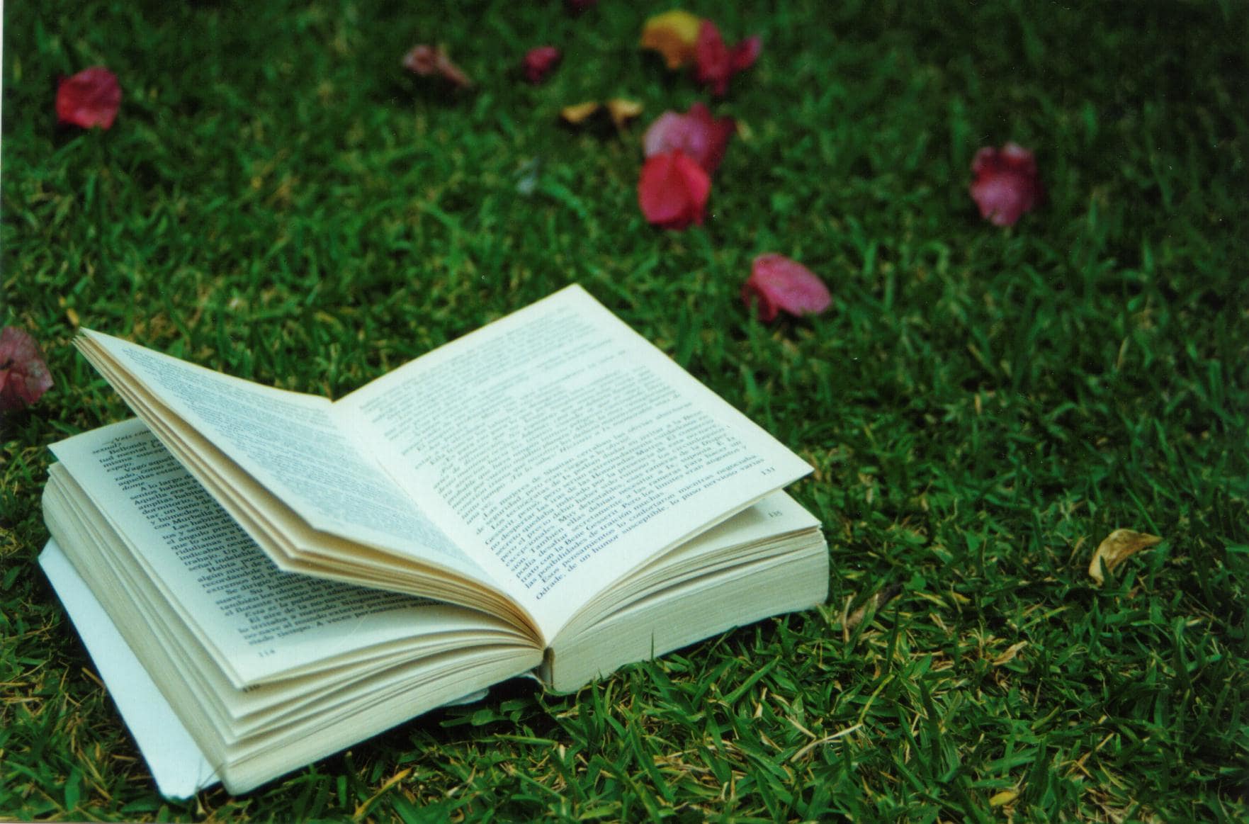 open-book-on-grass