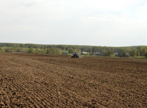 Фотогаллерея производство рулонного газона. Подготовка поля для посева газонных семян.
